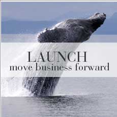 Momentum Business Solutions Launch, move business forward